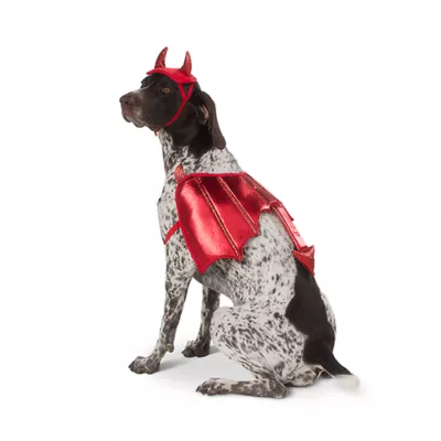 Product Thrills & Chills® Devil Costume, Dog & Cat