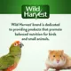 Product Wild Harvest® Bake Shop Glazed Donuts Small Pet Treat