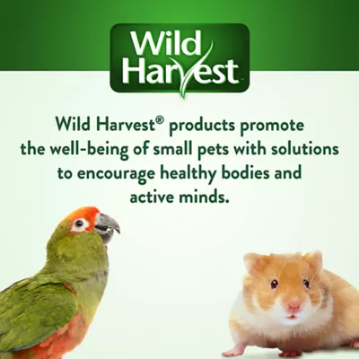 Product Wild Harvest® Advanced Nutrition Guinea Pig Food