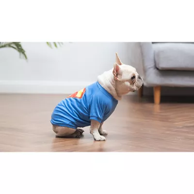 Product Superman DC Comics Flying Logo T-Shirt For Dogs