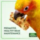 Product Wild Harvest® Healthy Benefits Crunch Bars Bird Treats