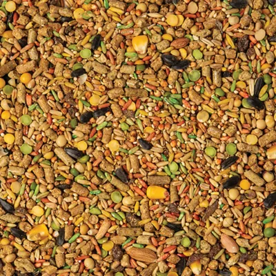 Product Wild Harvest® Advanced Nutrition Hamster And Gerbil Food