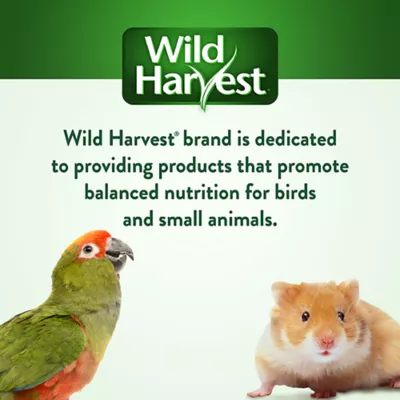 Product Wild Harvest® Advanced Nutrition Hamster And Gerbil Food