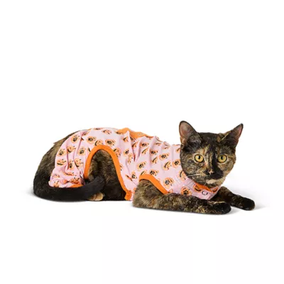 Product Thrills & Chills® Pet Pumpkin PJs