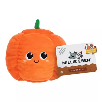 Product Millie and Ben Pumpkin Pooch