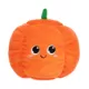 Product Millie and Ben Pumpkin Pooch