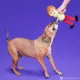 Product BARK Shaggy Skelly Dog Toy