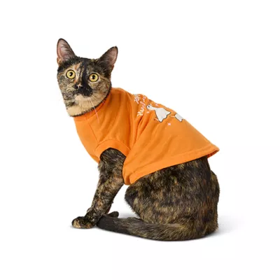 Product Thrills & Chills® Dog Halloween Tee