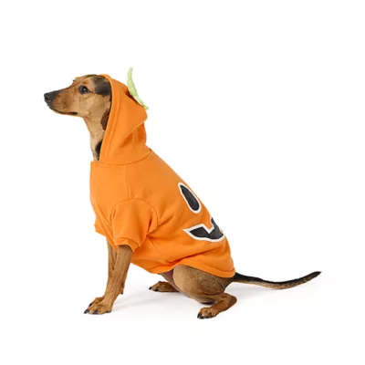 Product Thrills & Chills® Pet Pumpkin Hoodie Costume