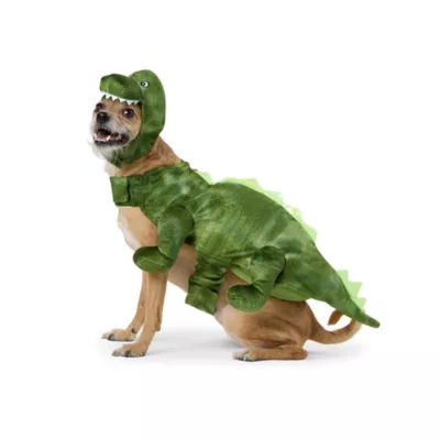 Product Thrills & Chills® Pet Dinosaur Costume, Dog & Cat