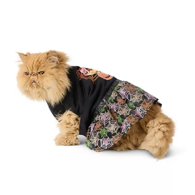 Product Thrills & Chills® Pet Pumpkin Web Dress
