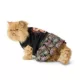Product Thrills & Chills® Pet Pumpkin Web Dress