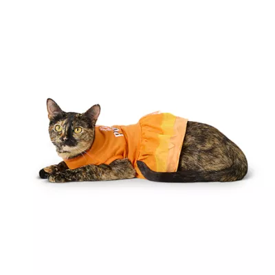Product Thrills & Chills® Pumpkin Dress, Dog and Cat