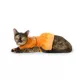 Product Thrills & Chills® Pumpkin Dress, Dog and Cat