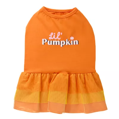 Product Thrills & Chills® Pumpkin Dress, Dog and Cat