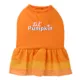 Product Thrills & Chills® Pumpkin Dress, Dog and Cat