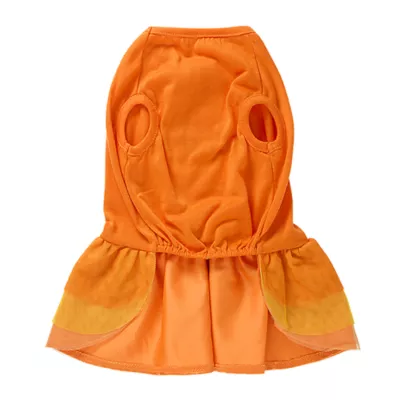 Product Thrills & Chills® Pumpkin Dress, Dog and Cat