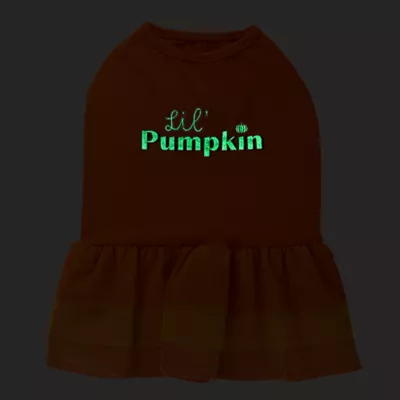 Product Thrills & Chills® Pumpkin Dress, Dog and Cat
