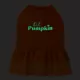 Product Thrills & Chills® Pumpkin Dress, Dog and Cat