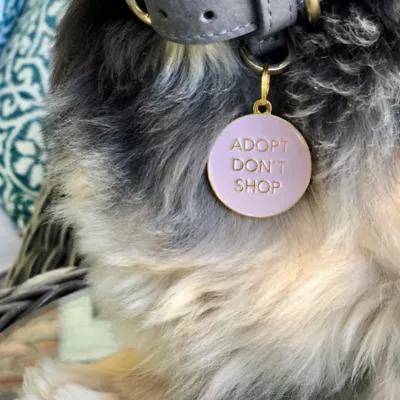 Product Two Tails Pet Company 'Adopt Don't Shop' Pet ID Tag