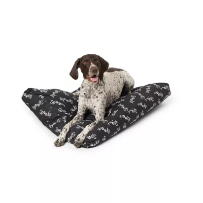 Product Thrills & Chills® Spooky Gusset-Style Pillow Dog Bed