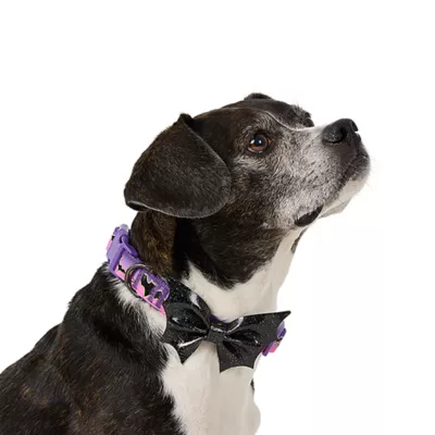 Product Thrills & Chills® Adjustable Bat Dog Collar