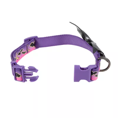 Product Thrills & Chills® Adjustable Bat Dog Collar