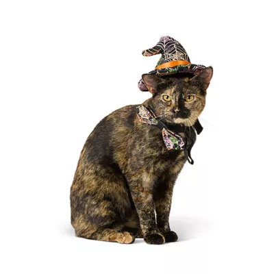 Product Thrills & Chills® Web Hat & Bowtie, Dog and Cat