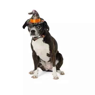Product Thrills & Chills® Web Hat & Bowtie, Dog and Cat