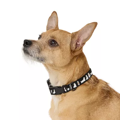 Product Thrills & Chills® Ghost Dog Collar
