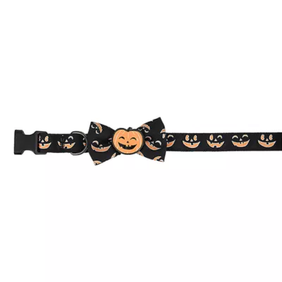 Product Thrills & Chills® Pumpkin Collar
