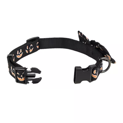 Product Thrills & Chills® Pumpkin Collar