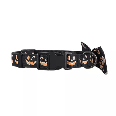 Thrills Chills® Pumpkin Collar