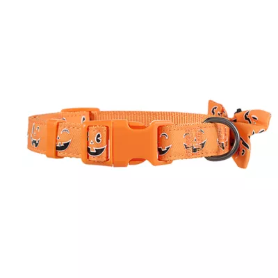 Product Thrills & Chills® Pumpkin Collar
