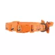 Product Thrills & Chills® Pumpkin Collar