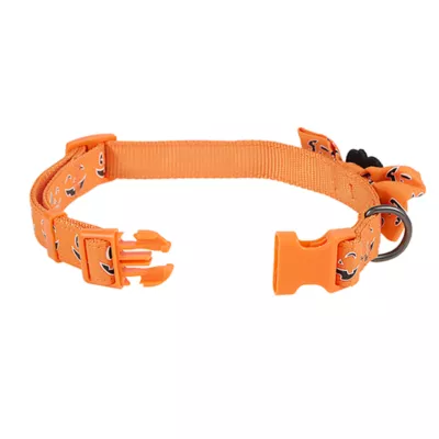 Product Thrills & Chills® Pumpkin Collar