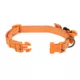 Product Thrills & Chills® Pumpkin Collar