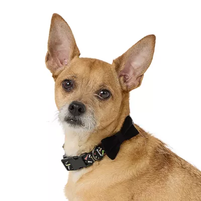 Product Thrills & Chills® Bones Collar