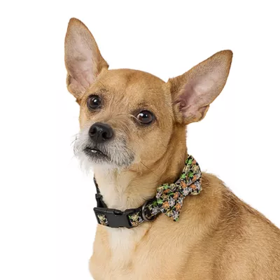 Product Thrills & Chills® Spiderweb Collar