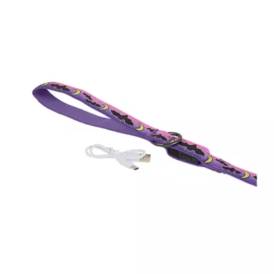 Product Thrills & Chills® LED Bat Dog Leash - 4' x 1"