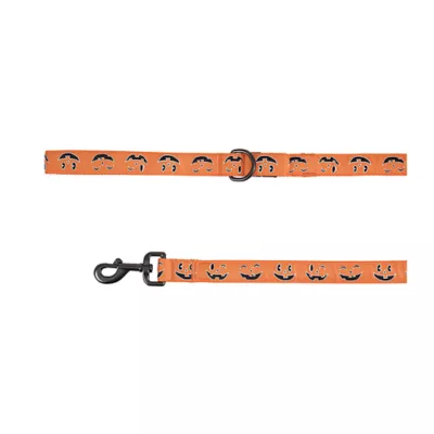 Product Thrills & Chills® LED Orange Pumpkin Dog Leash 4' x 1"