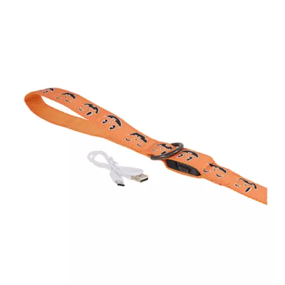 Product Thrills & Chills® LED Orange Pumpkin Dog Leash 4' x 1"
