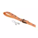 Product Thrills & Chills® LED Orange Pumpkin Dog Leash 4' x 1"