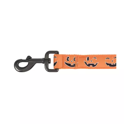 Product Thrills & Chills® LED Orange Pumpkin Dog Leash 4' x 1"