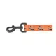 Product Thrills & Chills® LED Orange Pumpkin Dog Leash 4' x 1"
