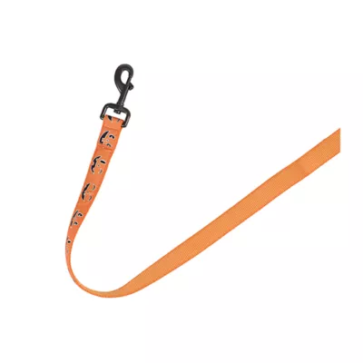 Product Thrills & Chills® LED Orange Pumpkin Dog Leash 4' x 1"