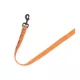 Product Thrills & Chills® LED Orange Pumpkin Dog Leash 4' x 1"