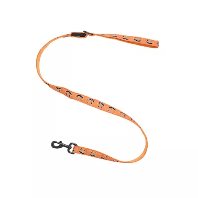Product Thrills & Chills® LED Orange Pumpkin Dog Leash 4' x 1"