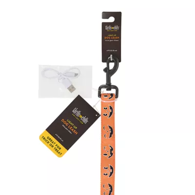 Product Thrills & Chills® LED Orange Pumpkin Dog Leash 4' x 1"