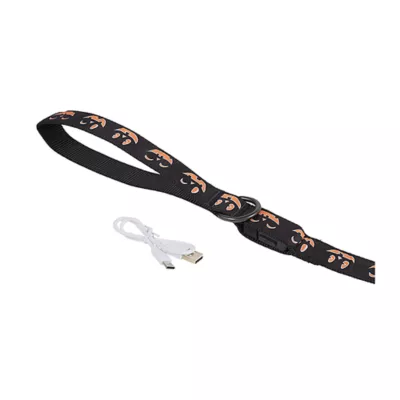 Product Thrills & Chills® LED Black Pumpkin Dog Leash 4' x 1"